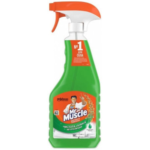 Засіб для миття скла та дзеркал Mr Muscle 500мл
